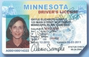 drivers license punched void